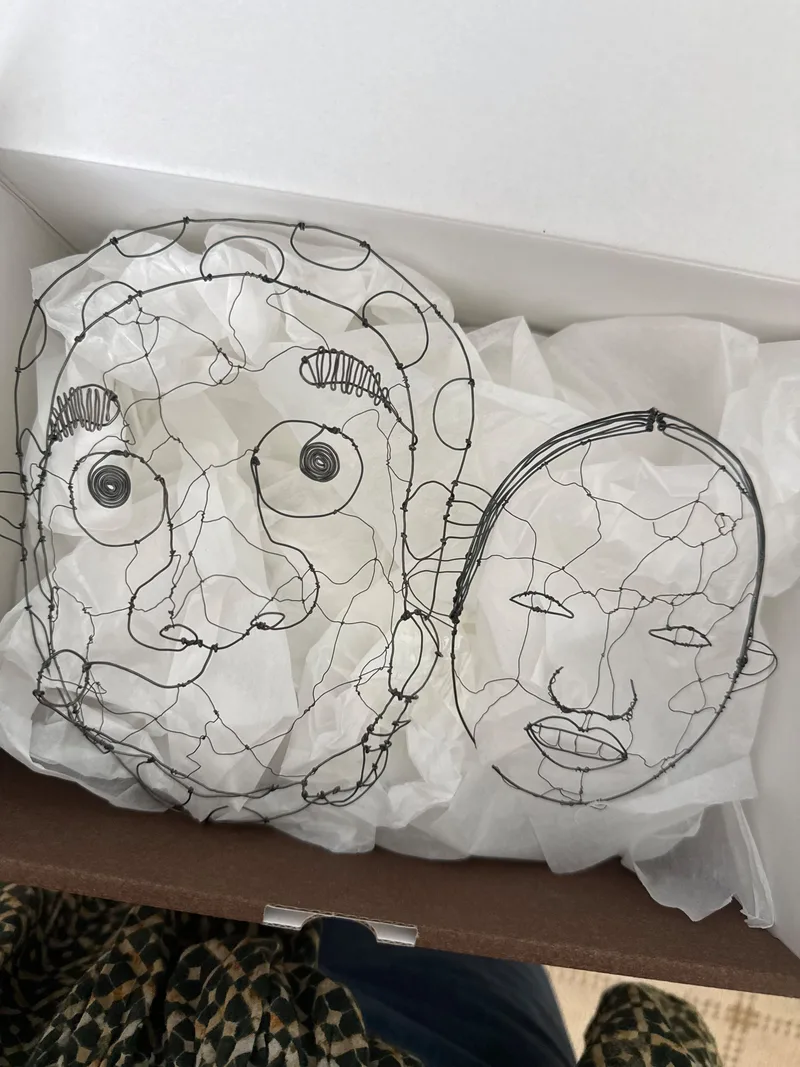 2D Mask: Wire Face Form of Man