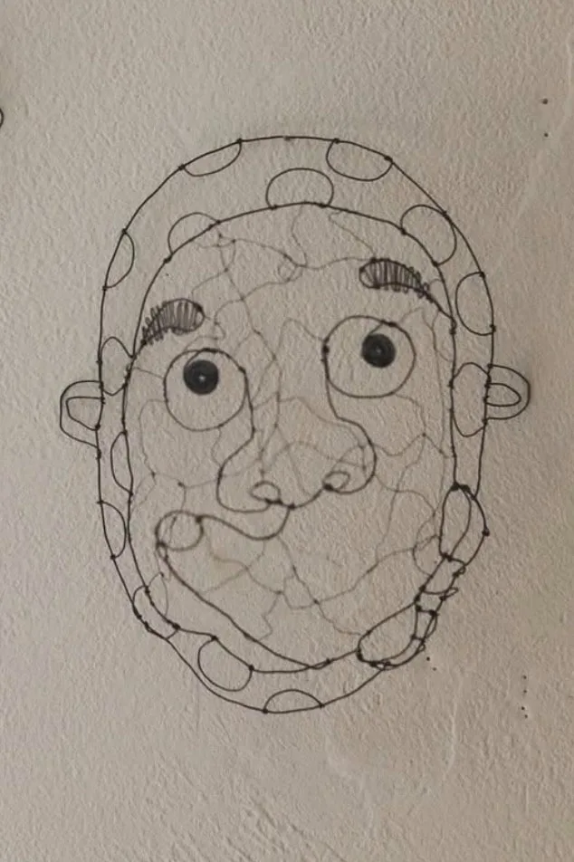 2D Mask: Wire Face Form of Man